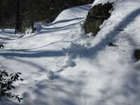  2013-02-10 13.54.38.JPG 